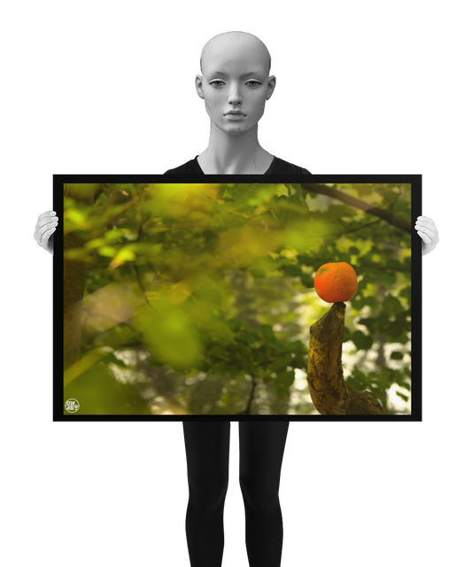 un4rt - photographie of an orange inside a forest. the orange is placed on the tip of a cut branch. unsharp backround with green leaves and branches. bookeh. lightbeams. the image is shown by a mannequin in black and white.