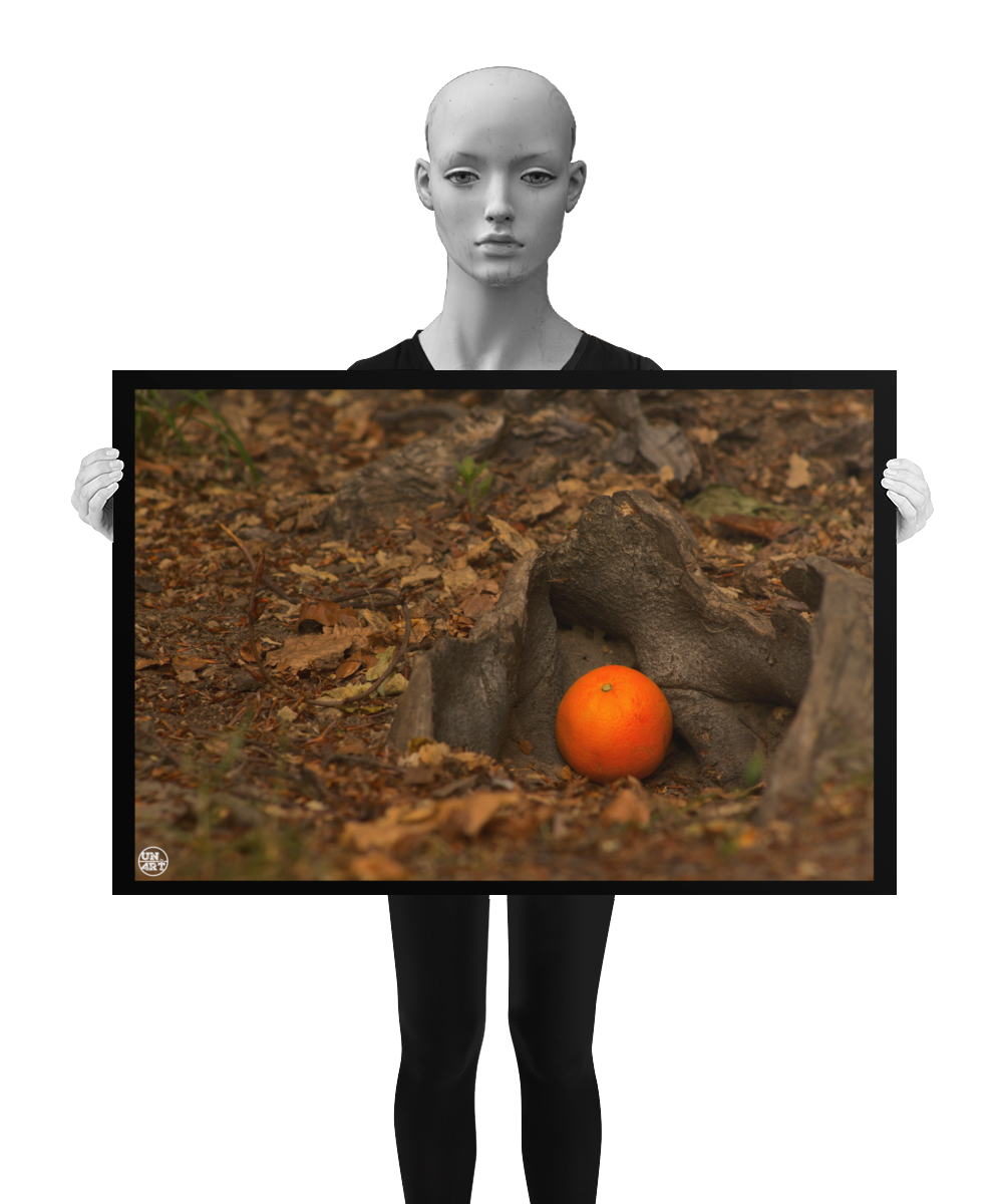 un4rt - photographie of an orange on the ground of a forest. the orange is placed between some roots. old brown leaves and small pieces of wood on the floor. blurry foreground. the image is shown by a mannequin in black and white.