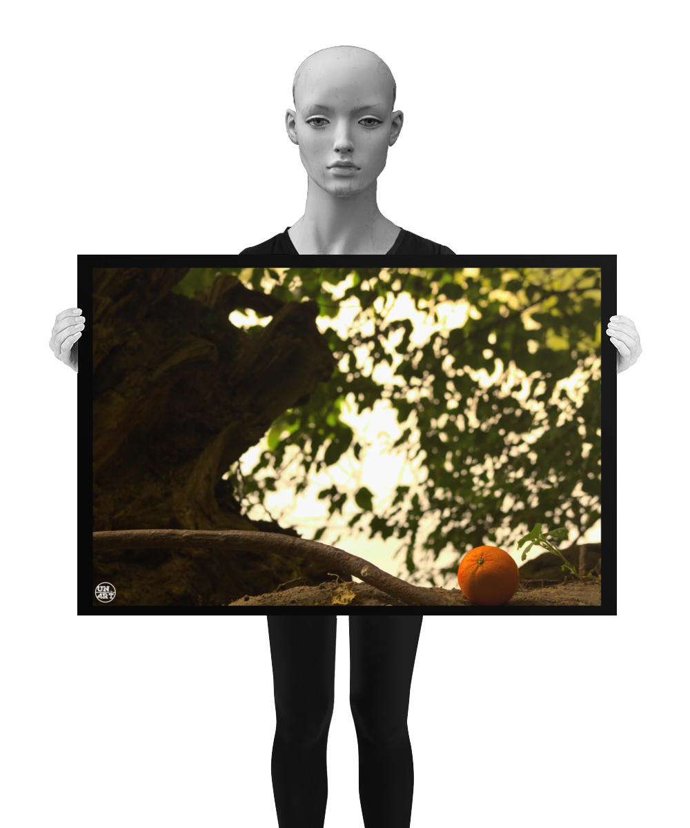 un4rt - photographie of an orange on the floor of a forest. rotting roots of a fallen tree next to the orange. unsharp background with leaves of another tree. the image is shown by a mannequin in black and white.