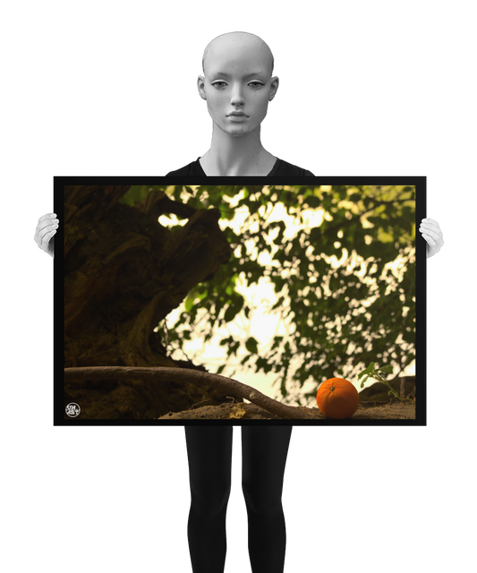 un4rt - photographie of an orange on the floor of a forest. rotting roots of a fallen tree next to the orange. unsharp background with leaves of another tree. the image is shown by a mannequin in black and white.