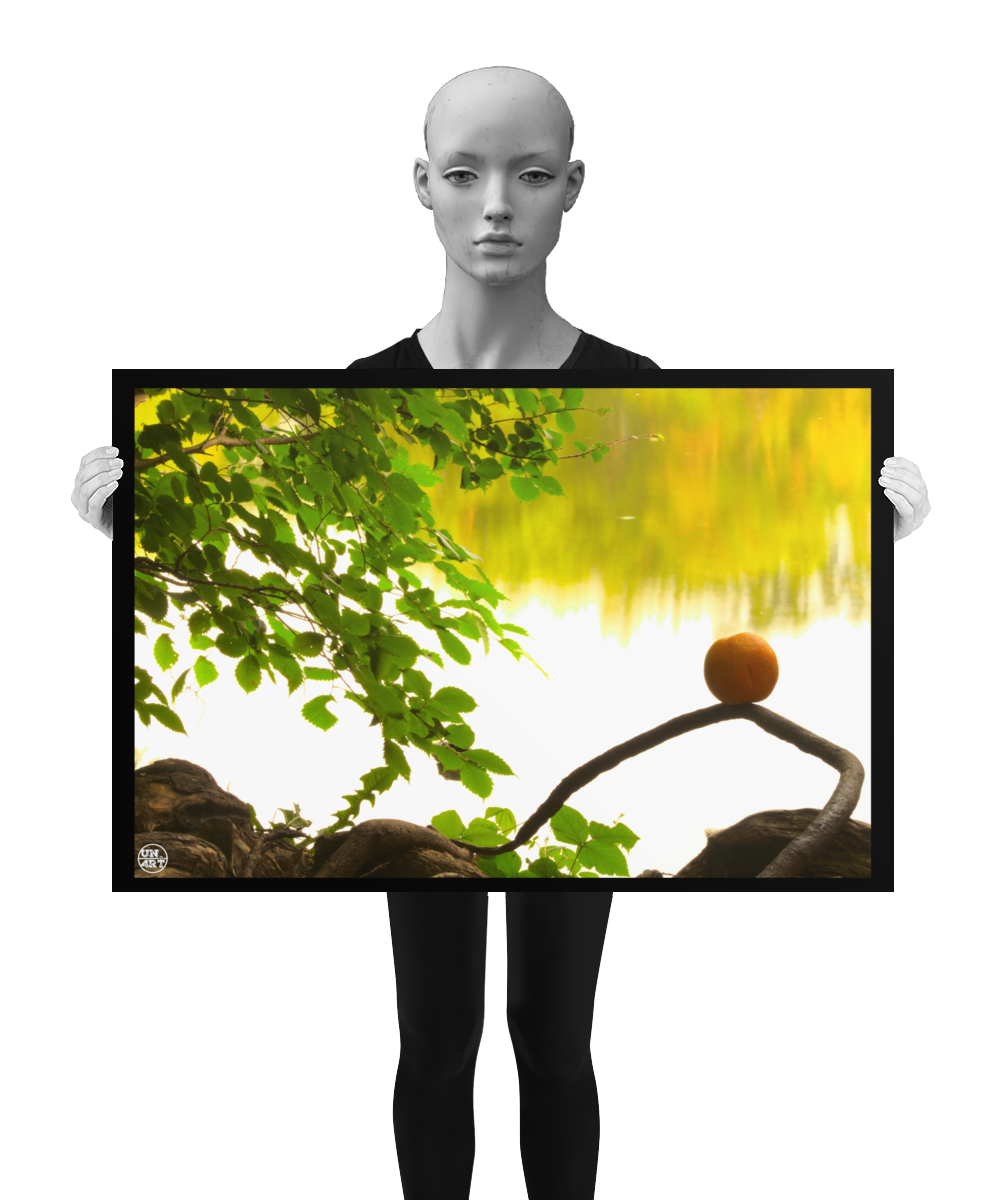 un4rt - photographie of an orange placed on an aerial root that meanders in the direction of a lake. a branch with leaves next to the orange. the background shows the surface of a lake with the reflection of a forest. the image is shown by a mannequin in black and white.