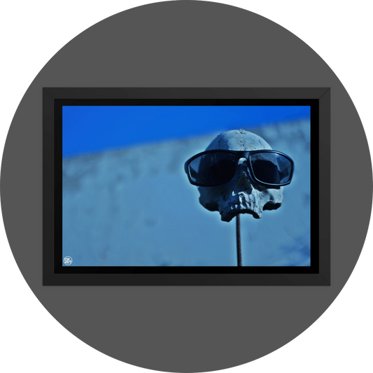 un4rt - the photographie shows a skull placed on a metal stick. the skull is wearing sunglases. the lower jaw is missing. a white wall and blue sky in the background. the background is very unsharp.