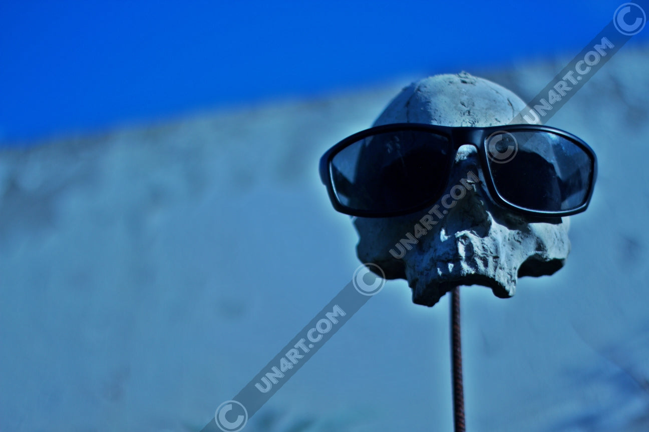un4rt - the photographie shows a skull placed on a metal stick. the skull is wearing sunglases. the lower jaw is missing. a white wall and blue sky in the background. the background is very unsharp.