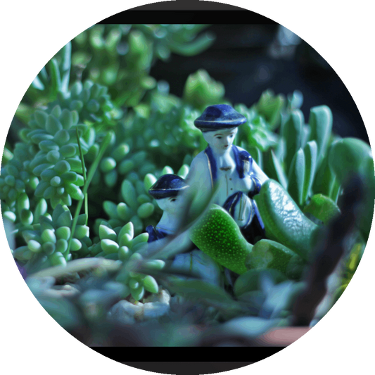 un4rt - the photographie shows 2 small porcelain figures in blue and white in the middle of a variety of succulents. more unsharp succulents in the foreground, very unsharp backround.