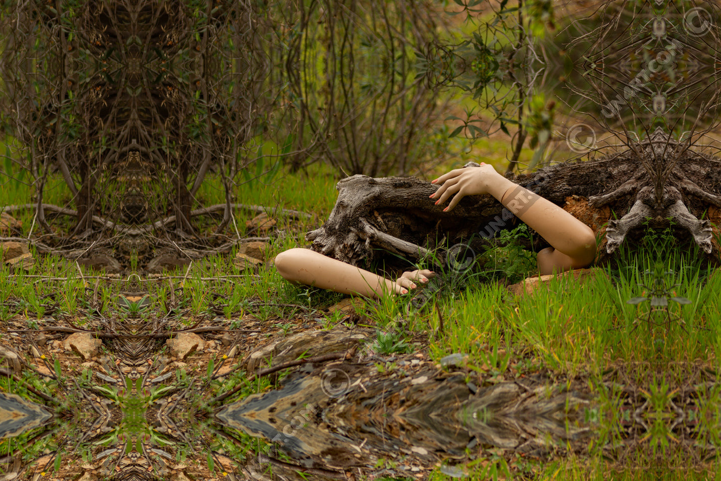 un4rt - a photographie that is mirrored on all sides. the image shows an old fallen tree trunk. two arms are coming out of the bottom touching the trunk. gras and bushes without leaves around the trunk.