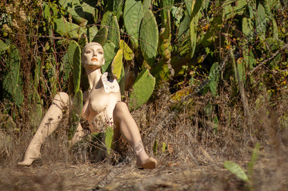 un4rt - almost human gallery poster mockup picture with a mannequin sitting outdoor in in front of a huge cactus. dried gras on the ground.
