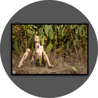 un4rt - almost human gallery poster mockup picture with a mannequin sitting outdoor in in front of a huge cactus. dried gras on the ground.