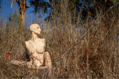 un4rt - almost human gallery poster mockup picture with a mannequin sitting outdoor in between very high and dried brown gras. some trees and blue sky in the background.