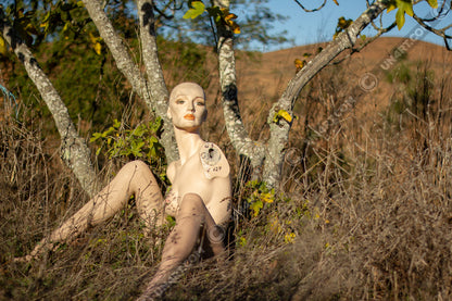 un4rt - almost human gallery poster mockup picture with a mannequin sitting outdoor in front of an old fig tree in between dried gras. dry hills in the background.