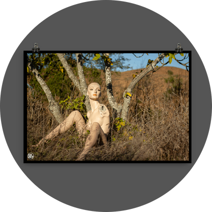 un4rt - almost human gallery poster mockup picture with a mannequin sitting outdoor in front of an old fig tree in between dried gras. dry hills in the background.