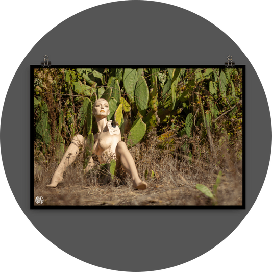 un4rt - almost human gallery poster mockup picture with a mannequin sitting outdoor in in front of a huge cactus. dried gras on the ground.
