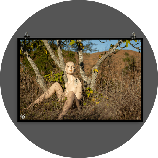 un4rt - almost human gallery poster mockup picture with a mannequin sitting outdoor in front of an old fig tree in between dried gras. dry hills in the background.