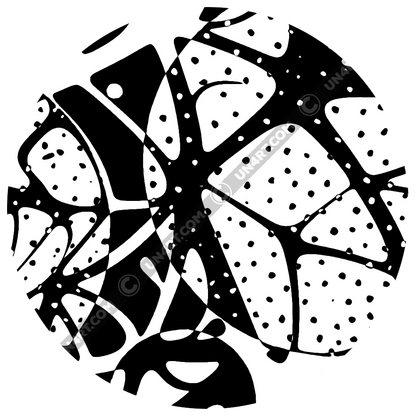 UN4RT brainbubbles original artwork detail – circular close-up of black and white organic pattern showing star-shaped node intersection with radiating segments filled with dot stippling and bold black angular forms, un4rt.com copyright watermark visible, copyright-protected original design.