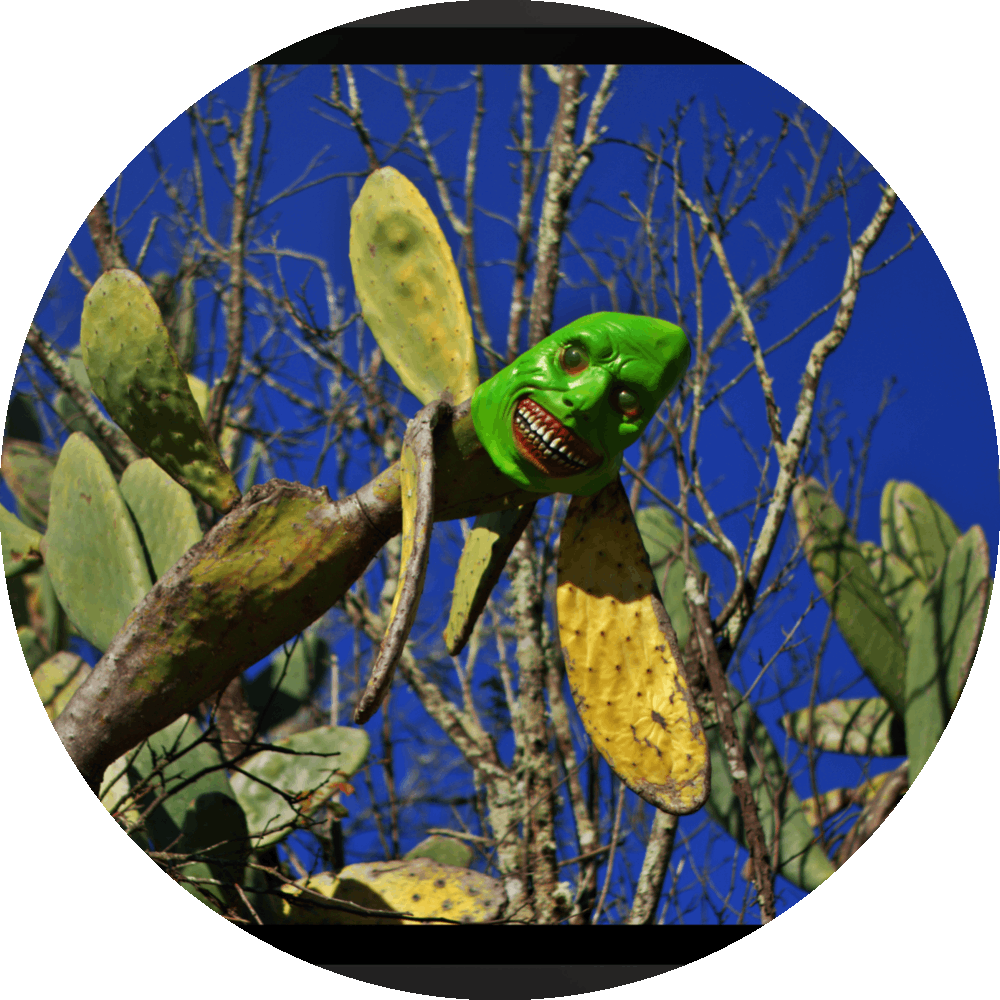 un4rt - the photograpie shows a huge and very old cactus with a spooky green mask on its top. the mask is smiling very strange. dead trees in the background. blue and cloudless sky.