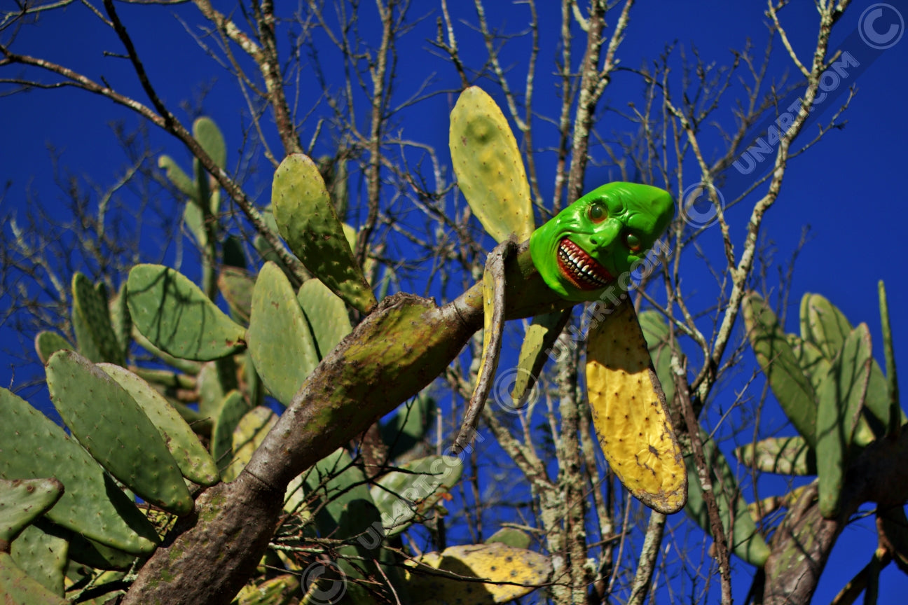 un4rt - the photograpie shows a huge and very old cactus with a spooky green mask on its top. the mask is smiling very strange. dead trees in the background. blue and cloudless sky.