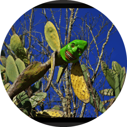 un4rt - the photograpie shows a huge and very old cactus with a spooky green mask on its top. the mask is smiling very strange. dead trees in the background. blue and cloudless sky.
