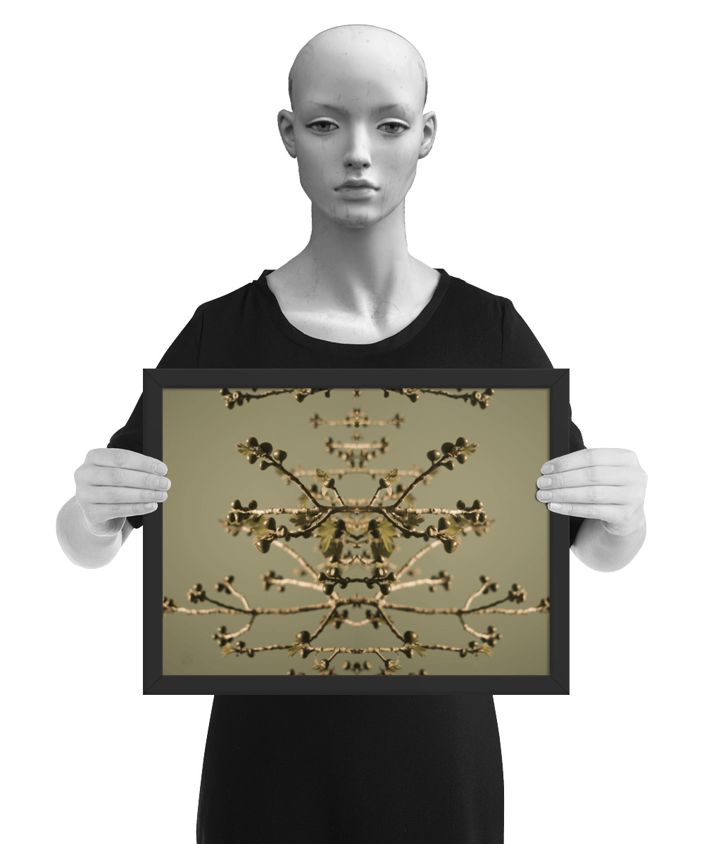 un4rt - the photographie is doubled and then mirrored. both photographies together create the final image. the image shows some branches of a fig tree with some small figs. the background is a light olive green. the image is framed and resented by a mannequin in black and white.