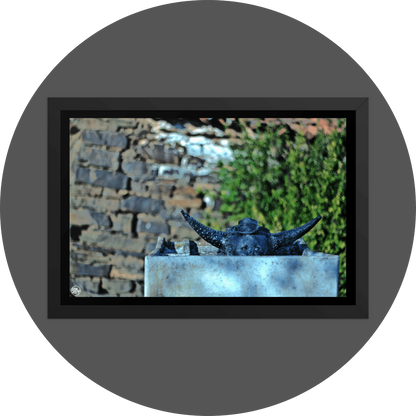 un4rt  the photographie shows an old washing tub with a horned baby face looking out of it. the babyface is also wearing a hat. babyface, horns and head are black, the old washing tub is made of concrete. old brick wall with a bush in the background. the background is very blurry. 