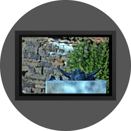 un4rt  the photographie shows an old washing tub with a horned baby face looking out of it. the babyface is also wearing a hat. babyface, horns and head are black, the old washing tub is made of concrete. old brick wall with a bush in the background. the background is very blurry. 