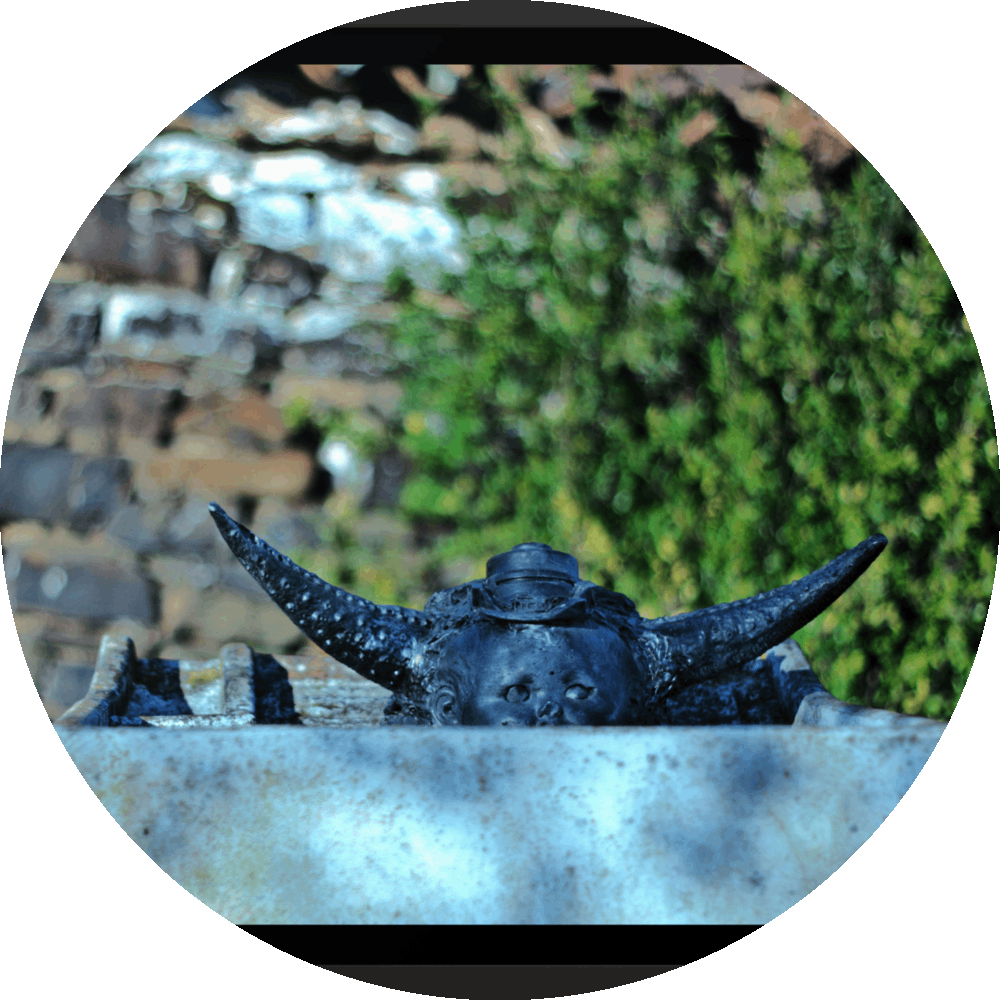 un4rt  the photographie shows an old washing tub with a horned baby face looking out of it. the babyface is also wearing a hat. babyface, horns and head are black, the old washing tub is made of concrete. old brick wall with a bush in the background. the background is very blurry. 