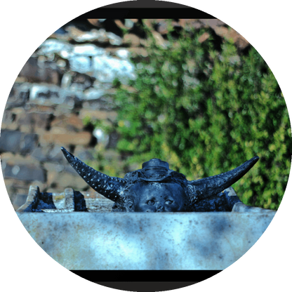 un4rt  the photographie shows an old washing tub with a horned baby face looking out of it. the babyface is also wearing a hat. babyface, horns and head are black, the old washing tub is made of concrete. old brick wall with a bush in the background. the background is very blurry. 
