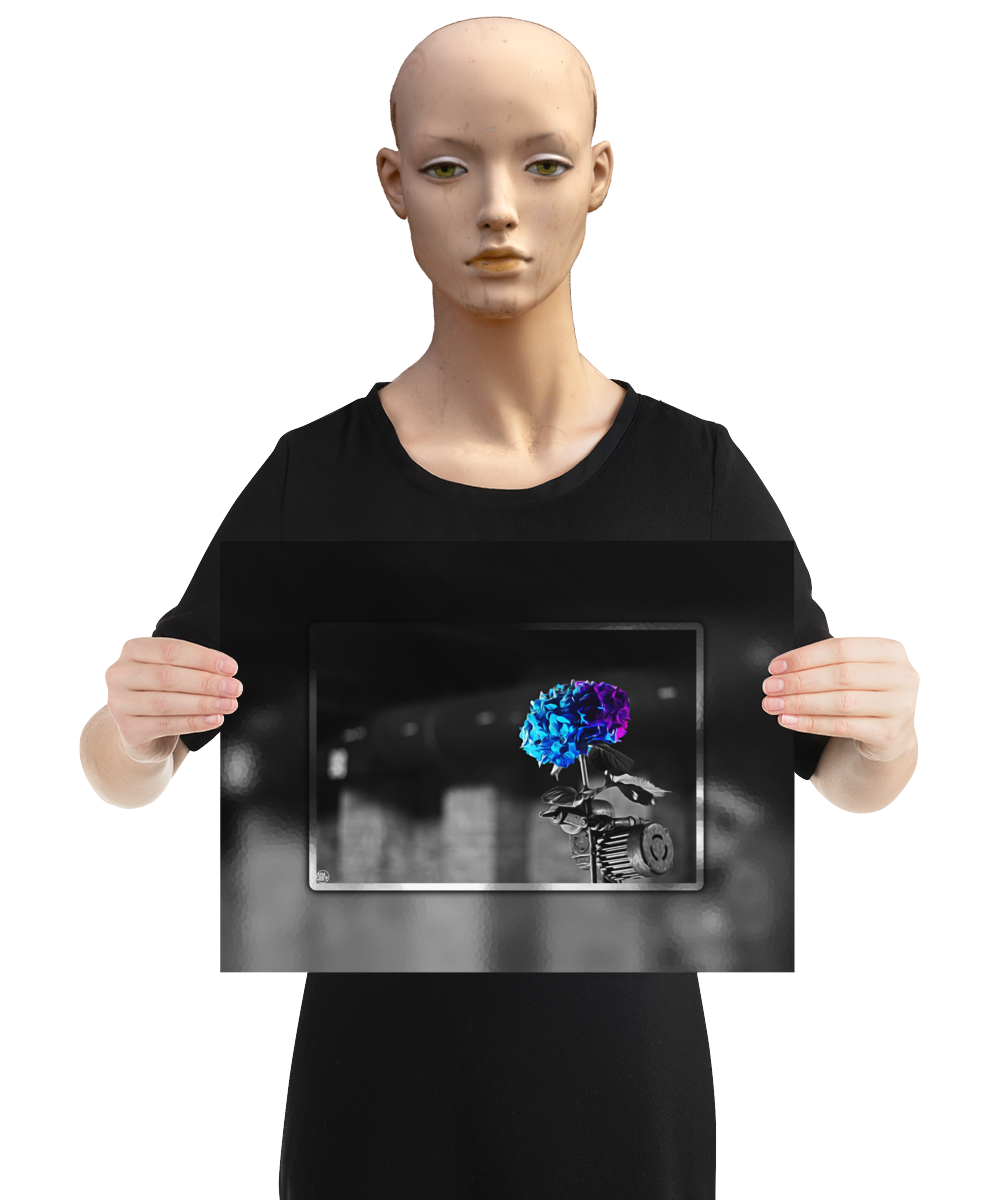 un4rt - the picture shows an edited photo. most of the picture is black and white. the main element is a hydrangea. the flowers of the hydrangea are coloured. the colours are blue and purple. the background is very blurred and only dimly visible. the picture was taken at the maze-club in berlin. the picture is presented by a mannequin.