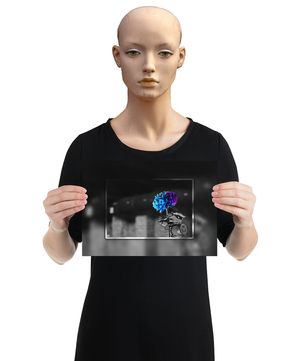 un4rt - the picture shows an edited photo. most of the picture is black and white. the main element is a hydrangea. the flowers of the hydrangea are coloured. the colours are blue and purple. the background is very blurred and only dimly visible. the picture was taken at the maze-club in berlin. the picture is presented by a mannequin.