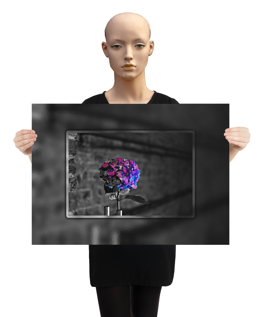 un4rt - the picture shows an edited photo. most of the picture is black and white. the main element is a hydrangea. the flowers of the hydrangea are coloured. the colours are blue and purple. the background is very blurred and only dimly visible. the picture was taken at the maze-club in berlin. the picture is presented by a mannequin.