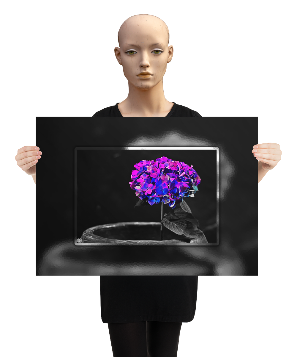 un4rt - the picture shows an edited photo. most of the picture is black and white. the main element is a hydrangea. the flowers of the hydrangea are coloured. the colours are blue and purple. the background is very blurred and only dimly visible. the picture was taken at the maze-club in berlin. the picture is presented by a mannequin.