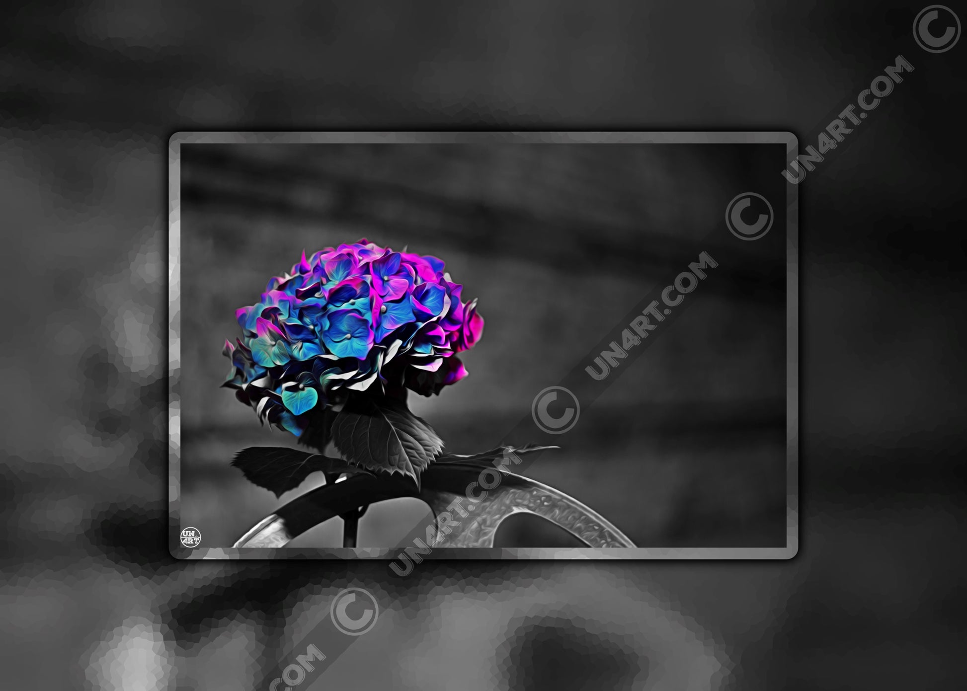 un4rt - the picture shows an edited photo. most of the picture is black and white. the main element is a hydrangea. the flowers of the hydrangea are coloured. the colours are blue and purple. the background is very blurred and only dimly visible. the picture was taken at the maze-club in berlin.