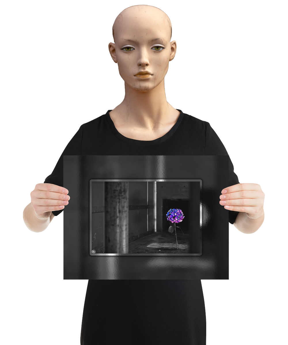 un4rt - the picture shows an edited photo. most of the picture is black and white. the main element is a hydrangea. the flowers of the hydrangea are coloured. the colours are blue and purple. the background is very blurred and only dimly visible. the picture was taken at the maze-club in berlin. the picture is presented by a mannequin.