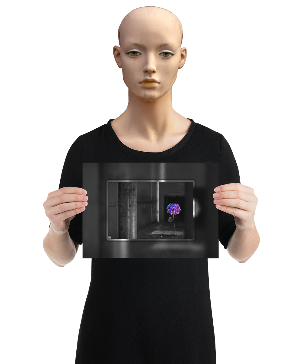 un4rt - the picture shows an edited photo. most of the picture is black and white. the main element is a hydrangea. the flowers of the hydrangea are coloured. the colours are blue and purple. the background is very blurred and only dimly visible. the picture was taken at the maze-club in berlin. the picture is presented by a mannequin.