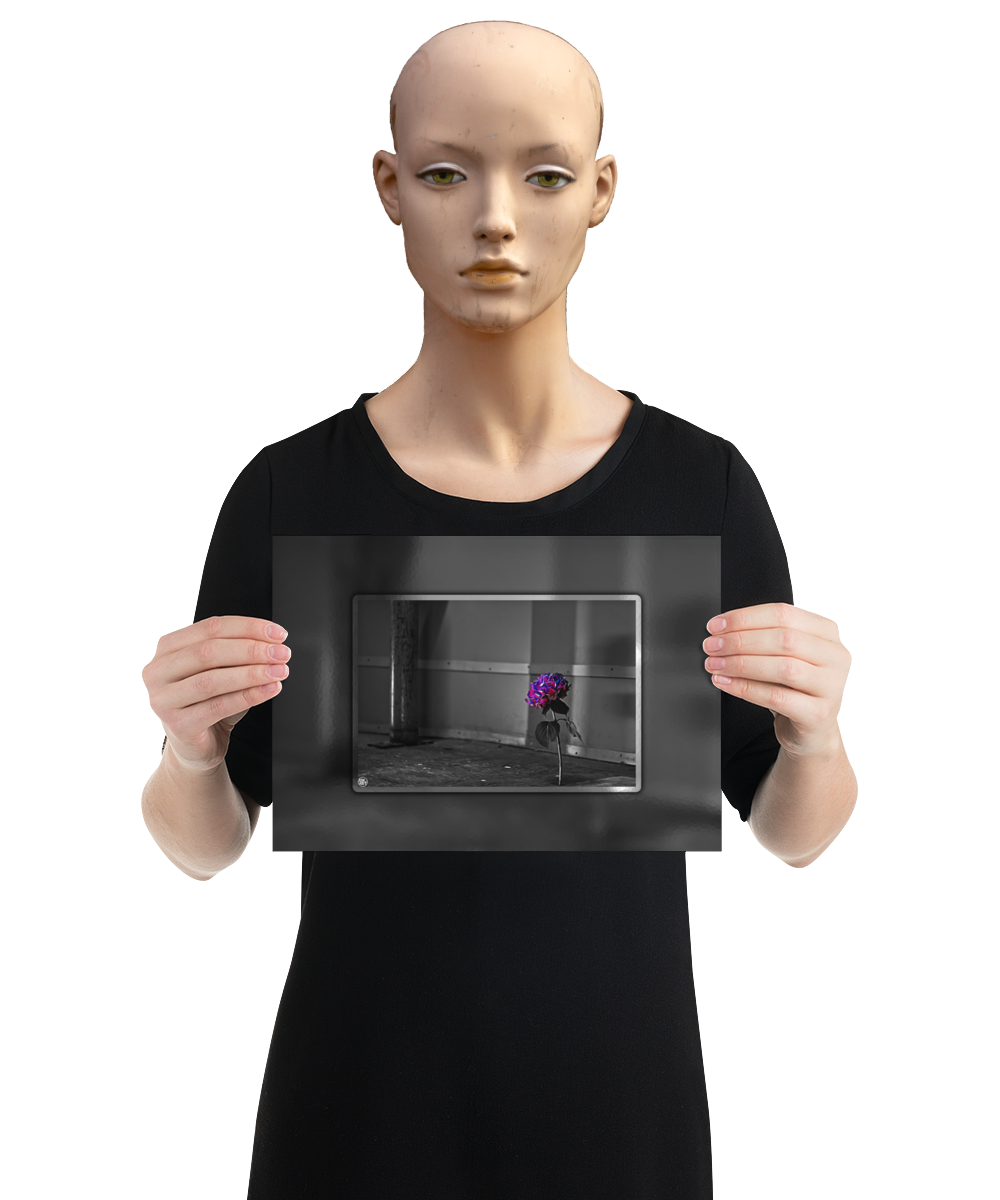 un4rt - the picture shows an edited photo. most of the picture is black and white. the main element is a hydrangea. the flowers of the hydrangea are coloured. the colours are blue and purple. the background is very blurred and only dimly visible. the picture was taken at the maze-club in berlin. the picture is presented by a mannequin.