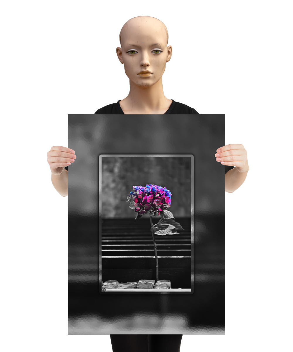 un4rt - the picture shows an edited photo. most of the picture is black and white. the main element is a hydrangea. the flowers of the hydrangea are coloured. the colours are blue and purple. the background is very blurred and only dimly visible. the picture was taken at the maze-club in berlin. the picture is presented by a mannequin.