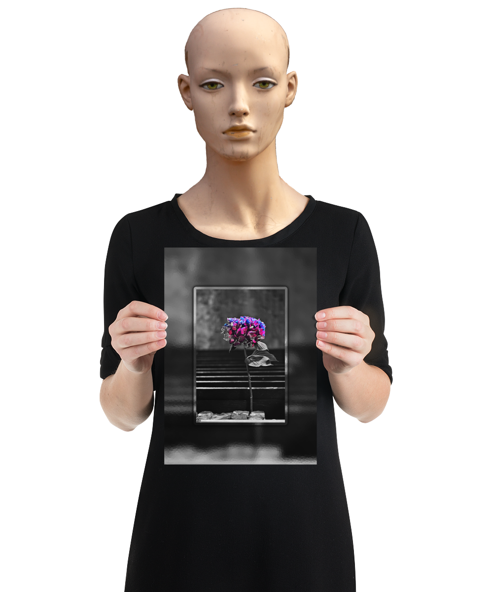 un4rt - the picture shows an edited photo. most of the picture is black and white. the main element is a hydrangea. the flowers of the hydrangea are coloured. the colours are blue and purple. the background is very blurred and only dimly visible. the picture was taken at the maze-club in berlin. the picture is presented by a mannequin.