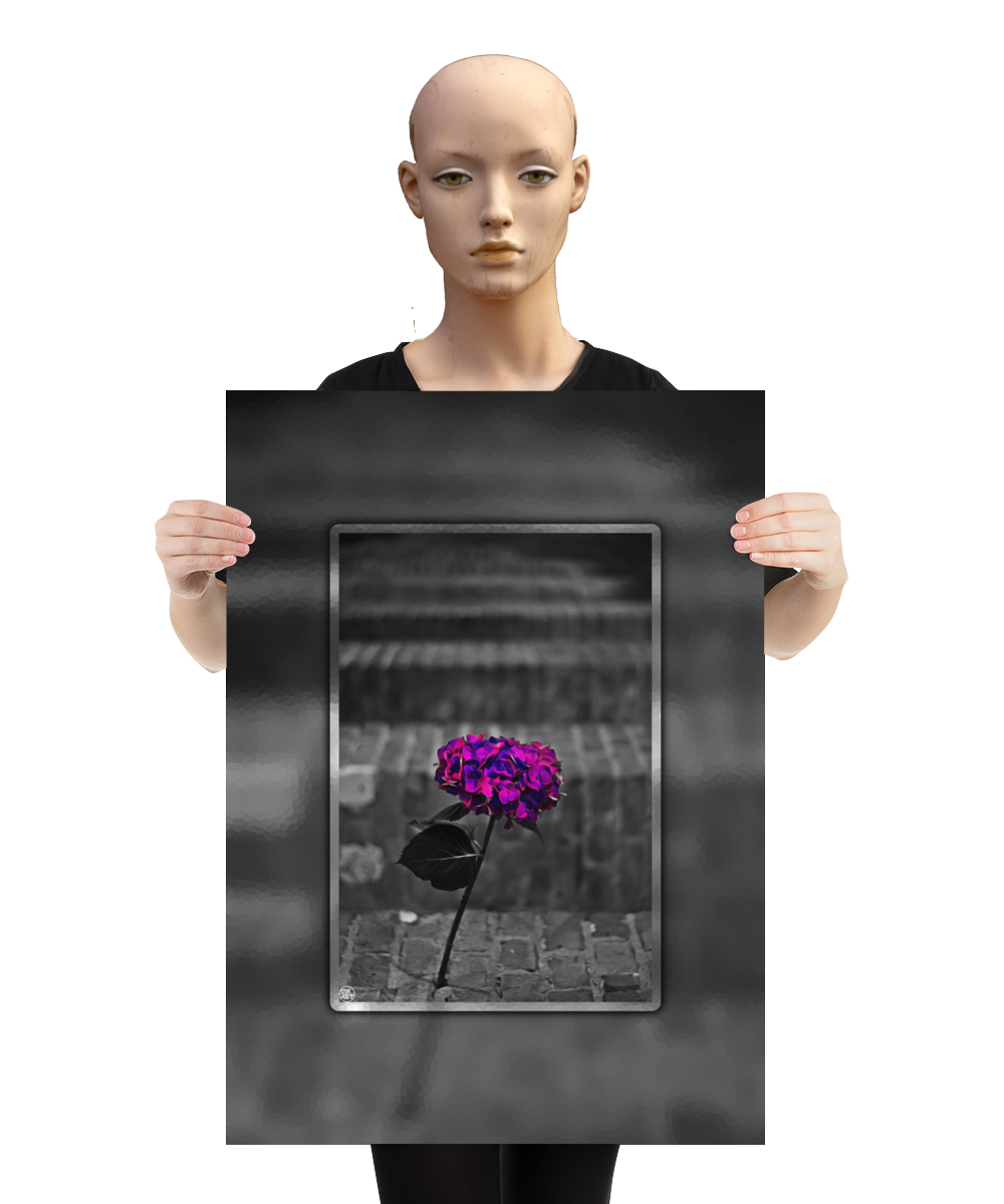 un4rt - the picture shows an edited photo. most of the picture is black and white. the main element is a hydrangea. the flowers of the hydrangea are coloured. the colours are blue and purple. the background is very blurred and only dimly visible. the picture was taken at the maze-club in berlin. the picture is presented by a mannequin.