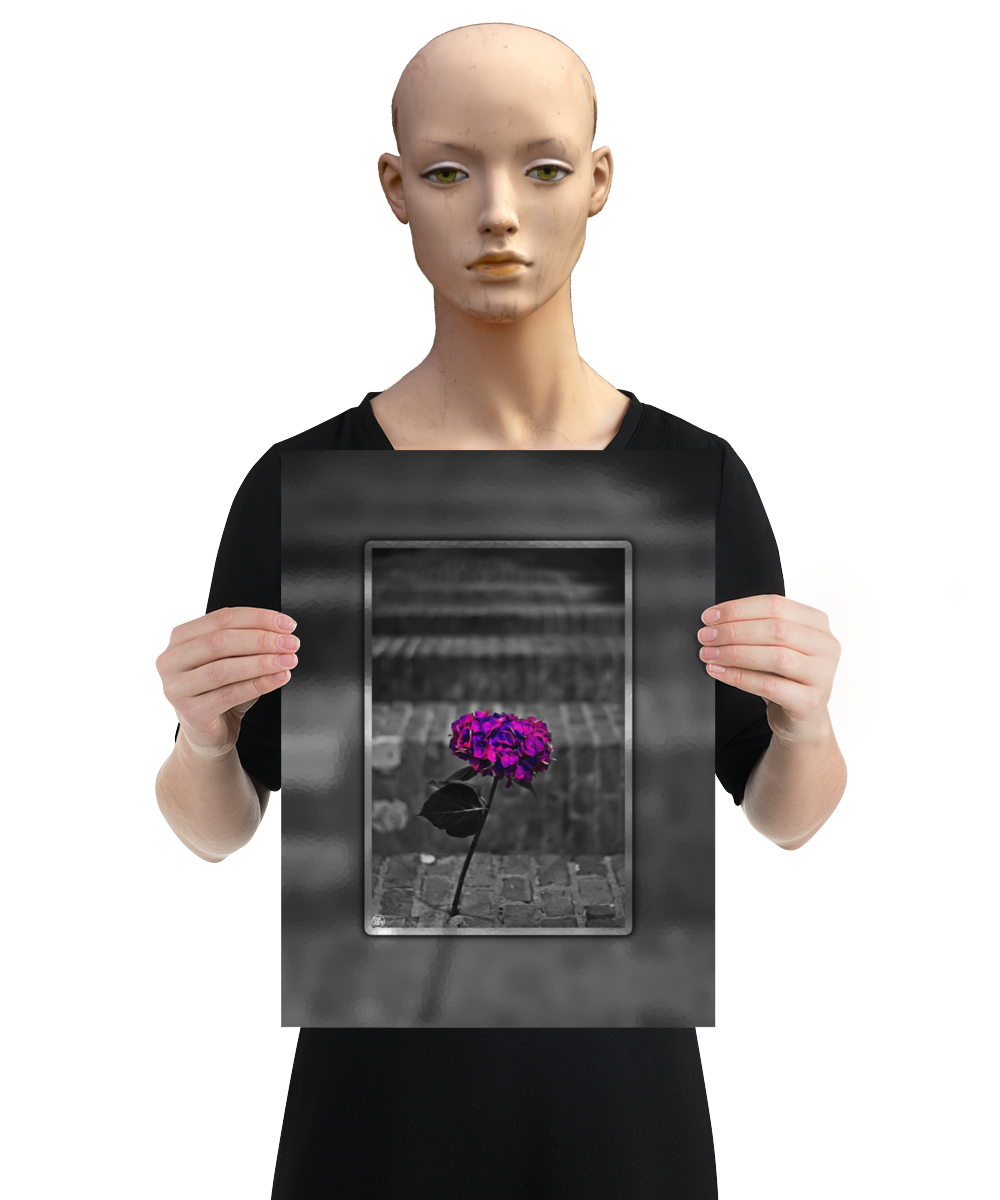 un4rt - the picture shows an edited photo. most of the picture is black and white. the main element is a hydrangea. the flowers of the hydrangea are coloured. the colours are blue and purple. the background is very blurred and only dimly visible. the picture was taken at the maze-club in berlin. the picture is presented by a mannequin.