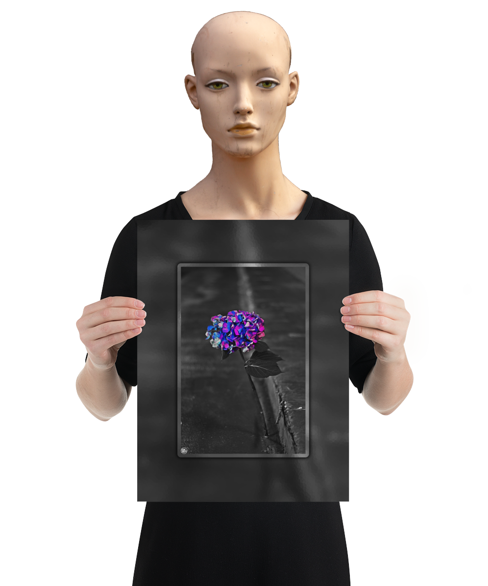 un4rt - the picture shows an edited photo. most of the picture is black and white. the main element is a hydrangea. the flowers of the hydrangea are coloured. the colours are blue and purple. the background is very blurred and only dimly visible. the picture was taken at the maze-club in berlin. the picture is presented by a mannequin.