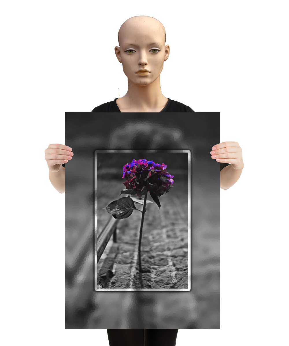 un4rt - the picture shows an edited photo. most of the picture is black and white. the main element is a hydrangea. the flowers of the hydrangea are coloured. the colours are blue and purple. the background is very blurred and only dimly visible. the picture was taken at the maze-club in berlin. the picture is presented by a mannequin.