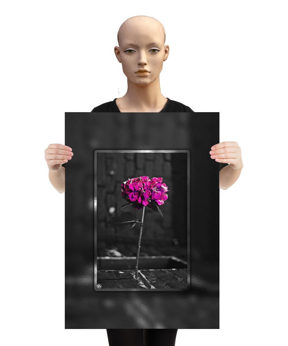 un4rt - the picture shows an edited photo. most of the picture is black and white. the main element is a hydrangea. the flowers of the hydrangea are coloured. the colours are blue and purple. the background is very blurred and only dimly visible. the picture was taken at the maze-club in berlin. the picture is presented by a mannequin.