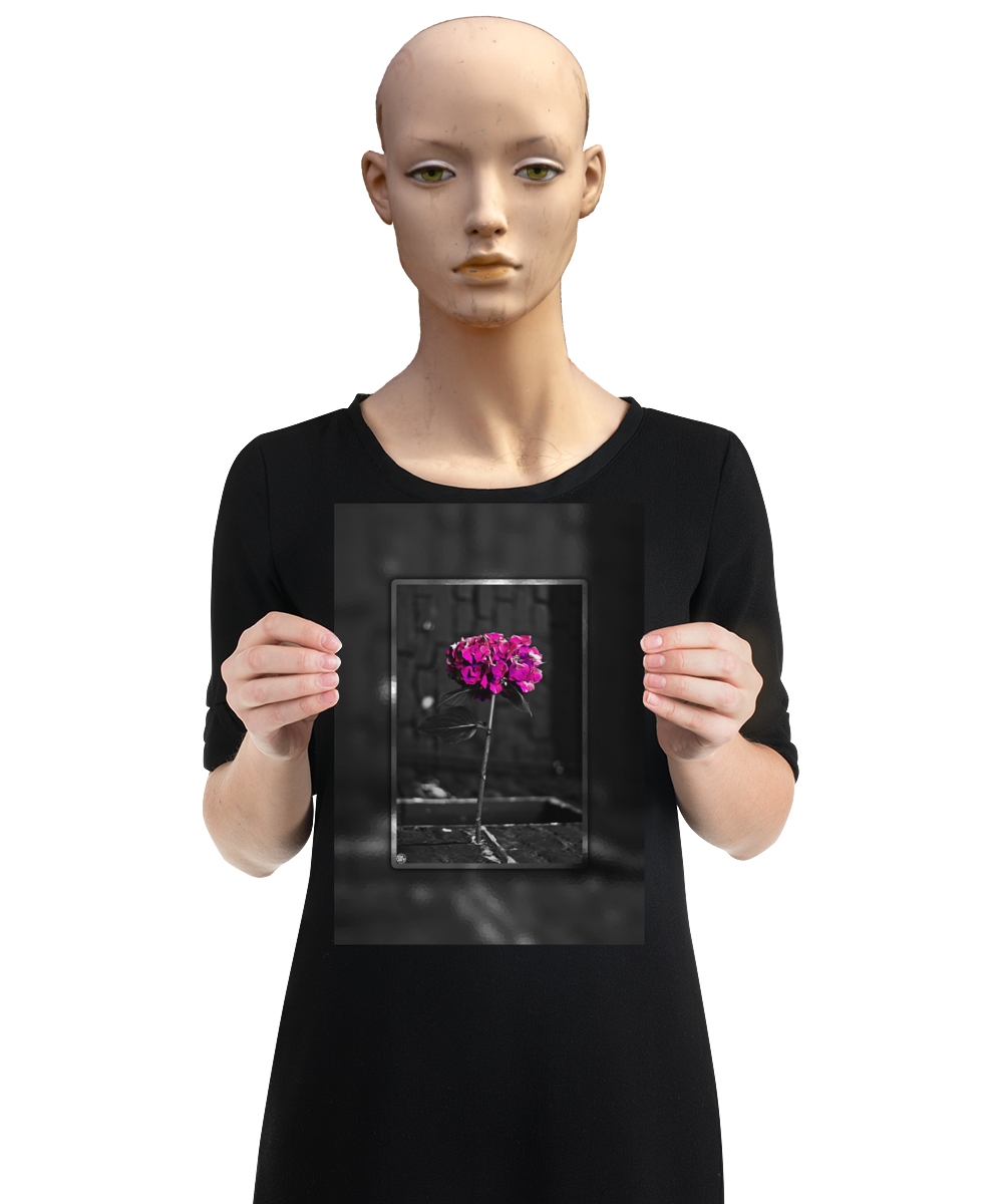 un4rt - the picture shows an edited photo. most of the picture is black and white. the main element is a hydrangea. the flowers of the hydrangea are coloured. the colours are blue and purple. the background is very blurred and only dimly visible. the picture was taken at the maze-club in berlin. the picture is presented by a mannequin.