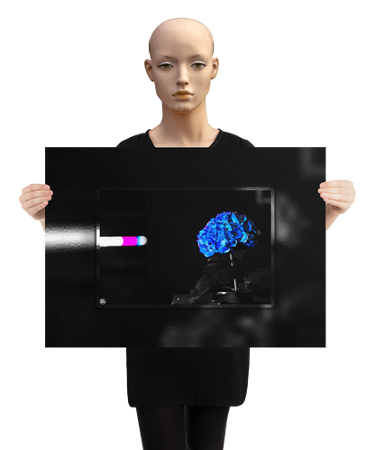 un4rt - the picture shows an edited photo. most of the picture is black and white. the main element is a hydrangea. the flowers of the hydrangea are colored. the colors are blue and purple. the background is very blurred and only dimly visible. the picture was taken at the maze-club in berlin. the picture is presented by a mannequin.