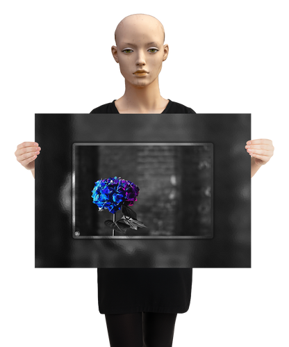 un4rt - the picture shows an edited photo. most of the picture is black and white. the main element is a hydrangea. the flowers of the hydrangea are colored. the colors are blue and purple. the background is very blurred and only dimly visible. the picture was taken at the maze-club in berlin. the picture is presented by a mannequin.