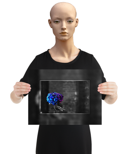 un4rt - the picture shows an edited photo. most of the picture is black and white. the main element is a hydrangea. the flowers of the hydrangea are colored. the colors are blue and purple. the background is very blurred and only dimly visible. the picture was taken at the maze-club in berlin. the picture is presented by a mannequin.