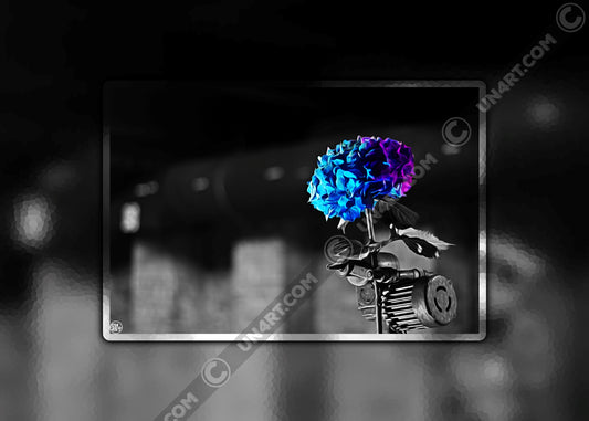un4rt - the picture shows an edited photo. most of the picture is black and white. the main element is a hydrangea. the flowers of the hydrangea are colored. the colors are blue and purple. the background is very blurred and only dimly visible. the picture was taken at the maze-club in berlin.