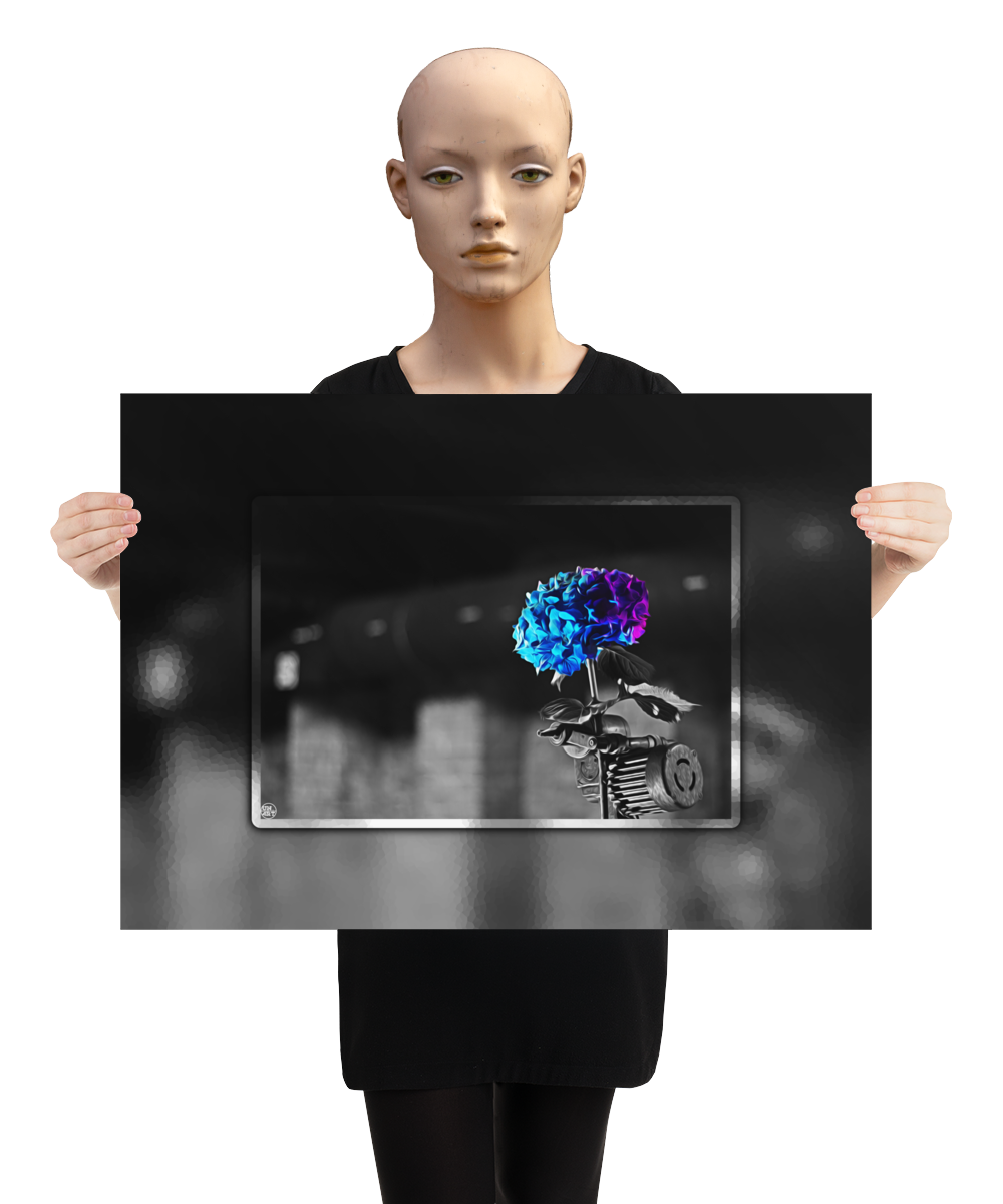 un4rt - the picture shows an edited photo. most of the picture is black and white. the main element is a hydrangea. the flowers of the hydrangea are colored. the colors are blue and purple. the background is very blurred and only dimly visible. the picture was taken at the maze-club in berlin. the picture is presented by a mannequin.