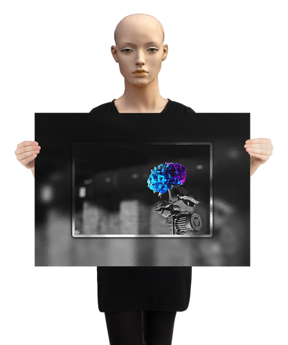 un4rt - the picture shows an edited photo. most of the picture is black and white. the main element is a hydrangea. the flowers of the hydrangea are colored. the colors are blue and purple. the background is very blurred and only dimly visible. the picture was taken at the maze-club in berlin. the picture is presented by a mannequin.