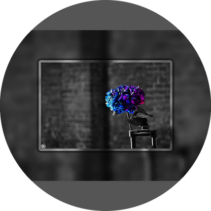 un4rt - the picture shows an edited photo. most of the picture is black and white. the main element is a hydrangea. the flowers of the hydrangea are colored. the colors are blue and purple. the background is very blurred and only dimly visible. the picture was taken at the maze-club in berlin.