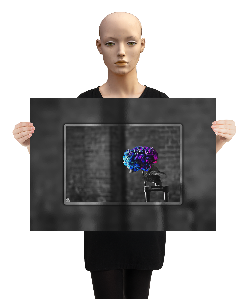 un4rt - the picture shows an edited photo. most of the picture is black and white. the main element is a hydrangea. the flowers of the hydrangea are colored. the colors are blue and purple. the background is very blurred and only dimly visible. the picture was taken at the maze-club in berlin. the picture is presented by a mannequin.