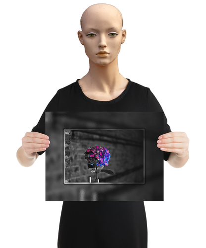 un4rt - the picture shows an edited photo. most of the picture is black and white. the main element is a hydrangea. the flowers of the hydrangea are colored. the colors are blue and purple. the background is very blurred and only dimly visible. the picture was taken at the maze-club in berlin. the picture is presented by a mannequin.
